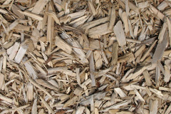 biomass boilers Tretire